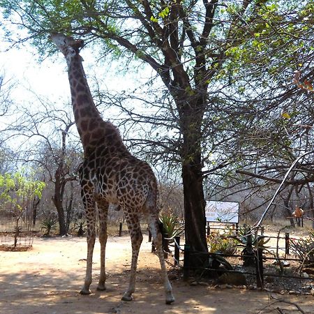 Weltevrede Lodge - Self Catering Houses Marloth Park Exterior foto